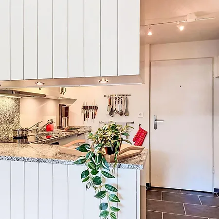 Apt- T By Interhome *